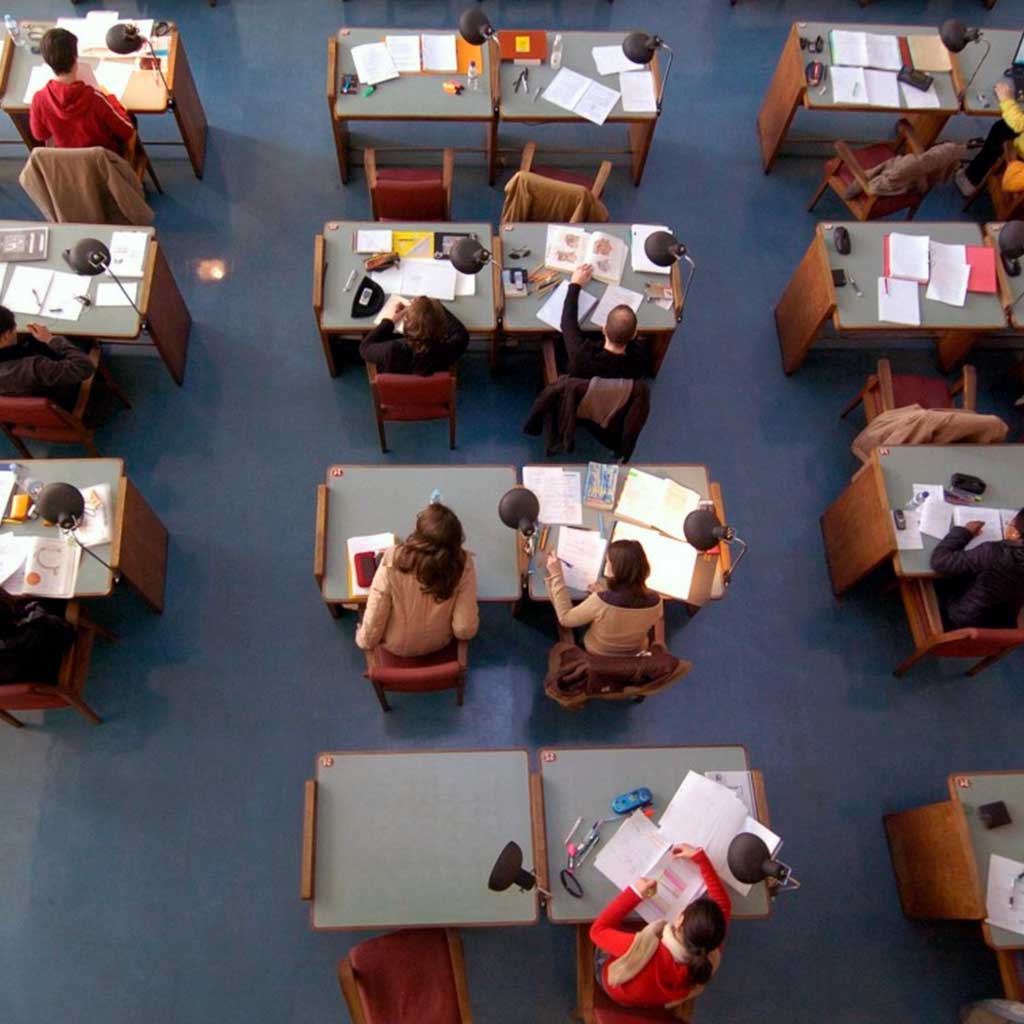 Образование в Португалии. Как устроена школьная система в 2020? | Movetocascais